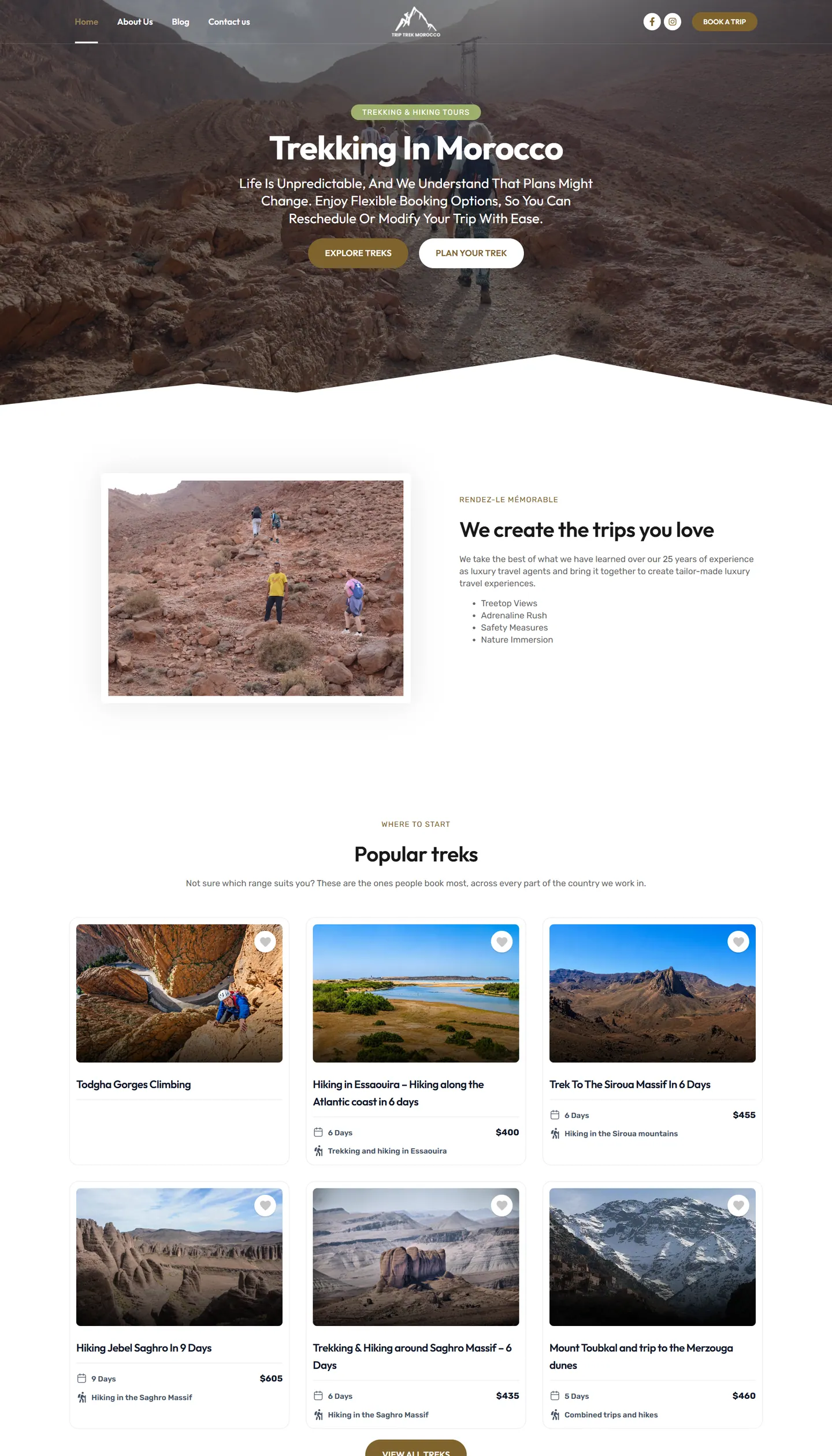 Page d’accueil du site Trip Trek Morocco, capture du site en ligne
